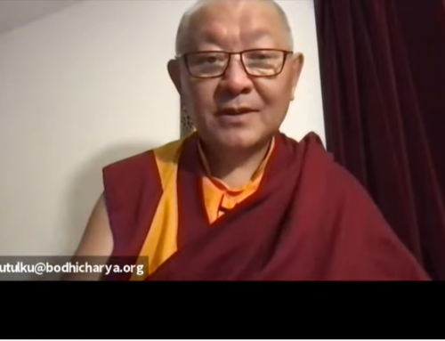 Tres entrenamientos para la liberación. Por Ringu Tulku Rinpoche