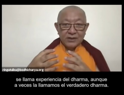 Seguir las enseñanzas, no las personas. Por Ringu Tulku Rinpoche